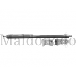 MUELLE HIDRAULICO DIREKT INOX